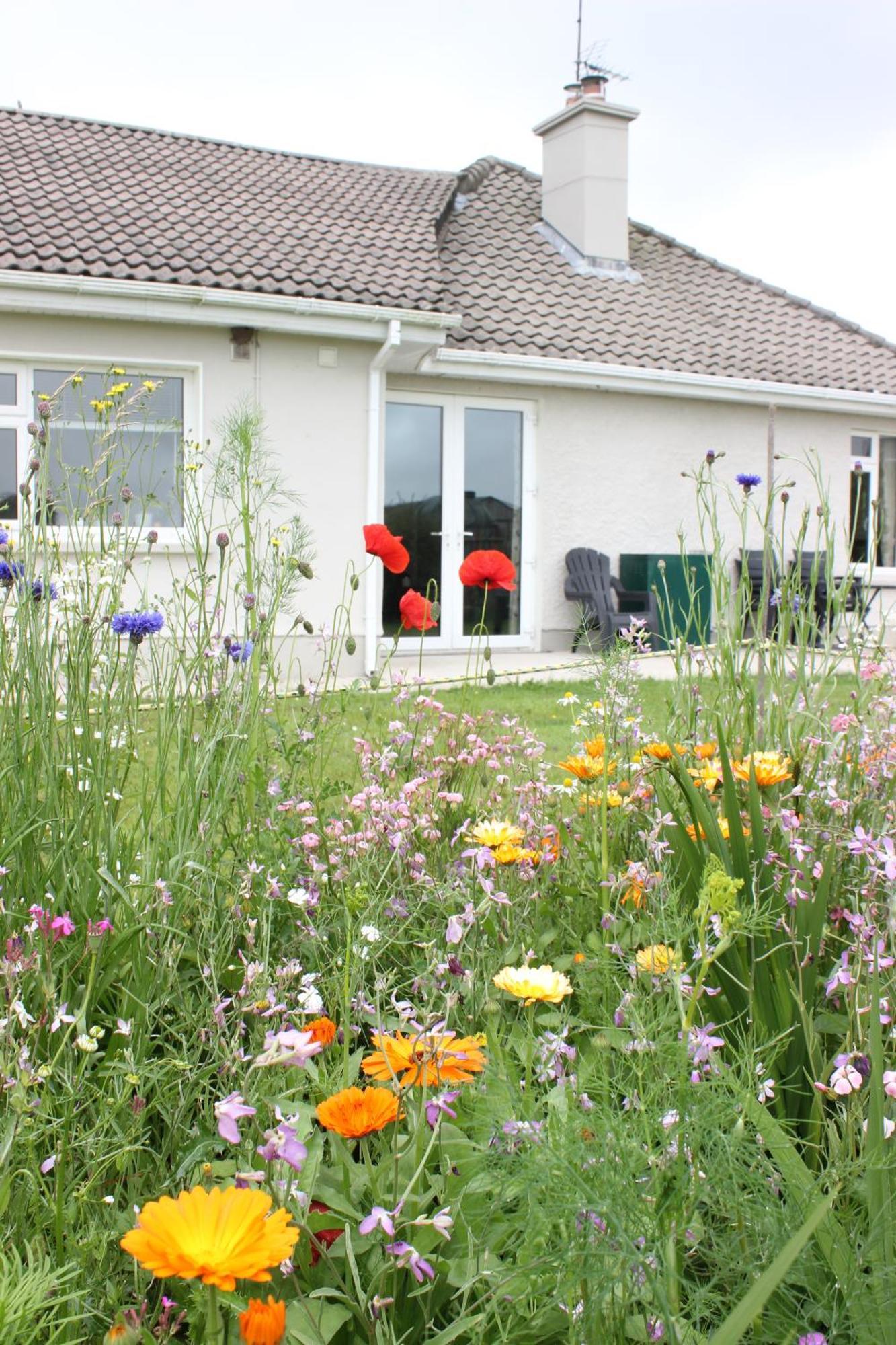 Family Home, 20 Mins From Youghal Casa vacanze *