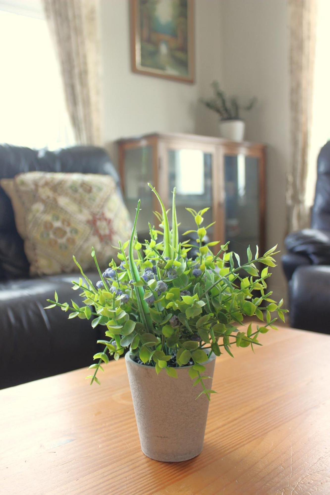 Family Home, 20 Mins From Youghal